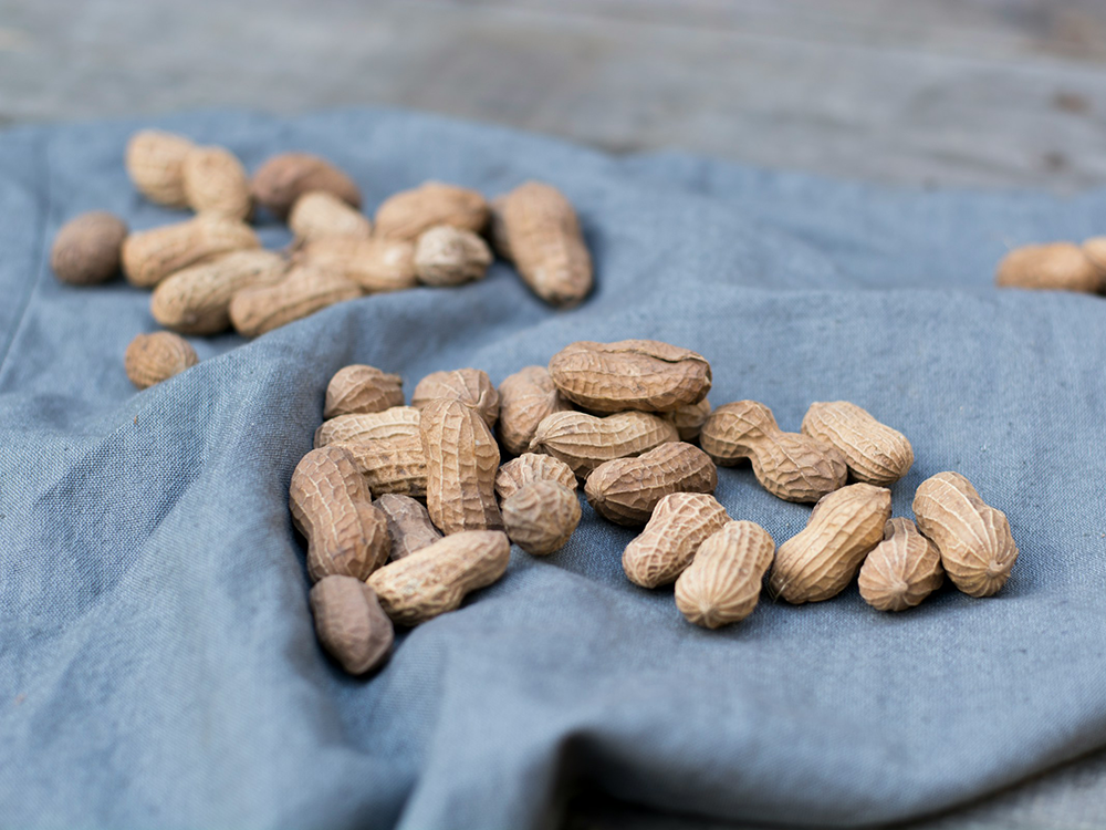 Peanuts